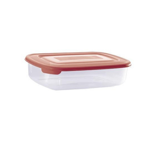 Контейнер 1,30л (21,6х14,5см h5,5см) с крышкой, п/п 432106421