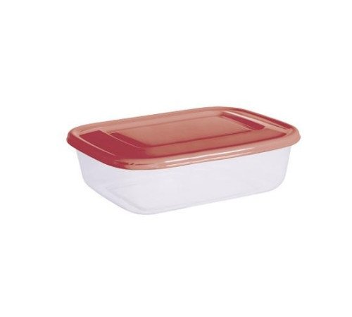 Контейнер 3,40л (29х19см h8,5см) с крышкой, п/п 432106521