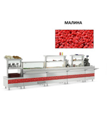 ПАНЕЛЬ ПЕРЕДНЯЯ ДЛЯ МОДУЛЯ KAYMAN PRESTO (1500ММ) - МАЛИНА