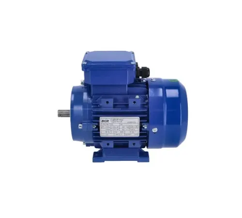 Электродвигатель (3ф, 0,55 кВт) 12149160 (1DC07288) для машины сушильной т.м. FAGOR, серии SR